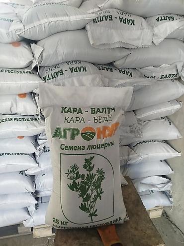 Кормовые растения: Семена кормовых растений: Люцерна — 6