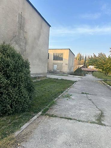 кызыл кия кыз: 100 соток, Кызыл китеп, Техпаспорт — 4