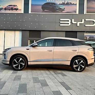 BYD: BYD Sea Lion 06: 2025 г. — 8