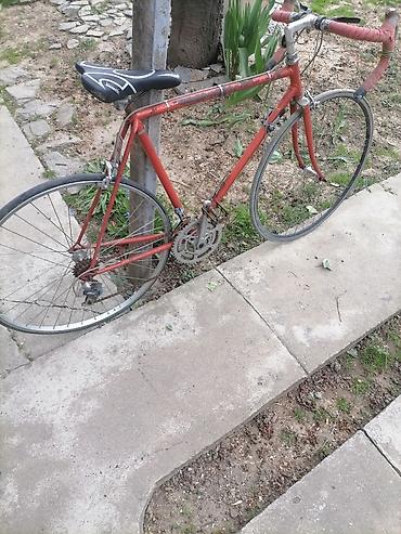 Bicikli za odrasle: Trkački bicikl – klasični drumski model - Čelični ram sa tankim — 9