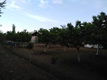 Другая коммерческая недвижимость: Срочно продается помещение под бизнес вдоль дороги 2- х уровней — 7