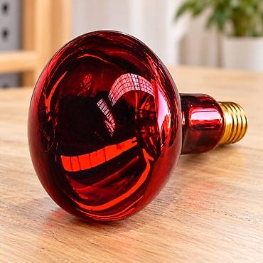İnfraqırmızı Lampa 100W İlməzli R80 Cücələrin, quşların və digər ev lalafo.az -da İnfraqırmızı Lampa 100W İlməzli R80 Cücələrin, quşların və digər ev
