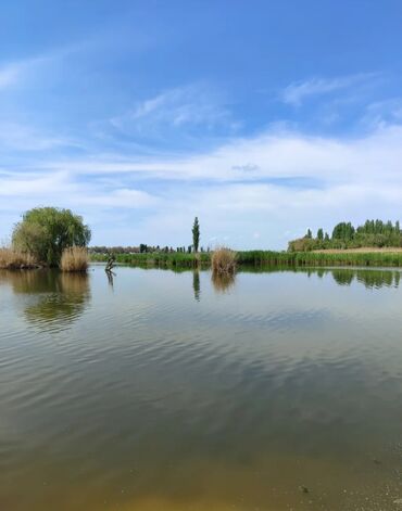 Продажа участков: 600 соток, Для бизнеса, Красная книга — 20