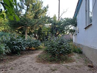 Продажа коттеджей и домов: Дом на Иссык-Куле!!! Продается просторный дом на участке 36 сотых at lalafo.kg — 38 Продажа коттеджей и домов: Дом на Иссык-Куле!!! Продается просторный дом на участке 36 сотых — 38