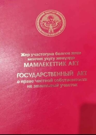 пр мира: 5 соток, Курулуш, Кызыл китеп