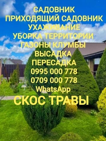 цветы азалия: Уборка территории, Стрижка газона, Другой, Уход за деревьями