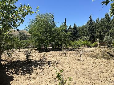 fatmai: Kənd təsərrüfatı, Kupça (Çıxarış), Texniki pasport — 5