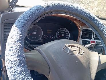 мини грузовики бу: Hyundai Porter (Porter II) — компактный городской грузовик синего — 2