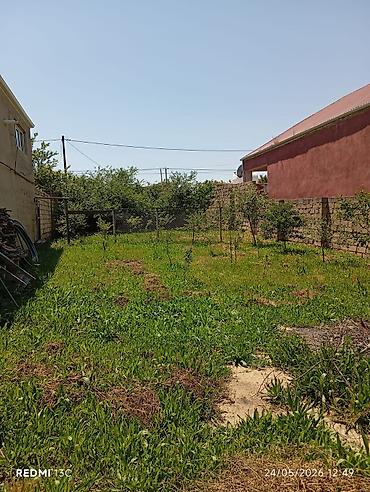 savalan torpag: 3 sot, Tikinti, Mülkiyyətçi — 3