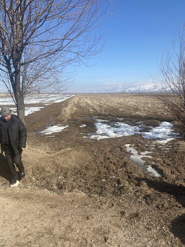 участки калыс ордо: 2 соток Айыл чарба үчүн