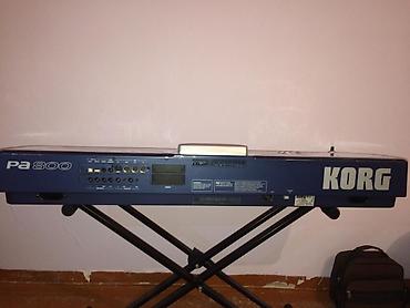 Sintezator, Korg, İşlənmiş