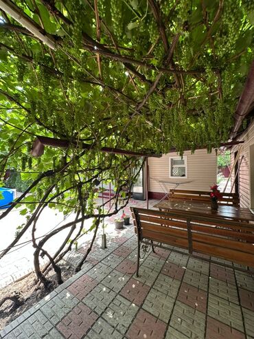 Бани, сауны, SPA: Баня | Бассейн — 16