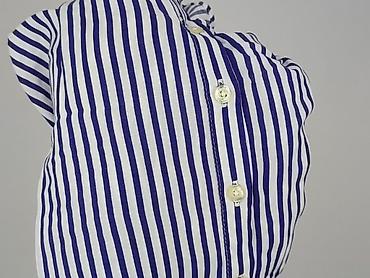 bluza paliona: Emily van den Bergh, Bluzka damska, rozmiar 4XL — 6