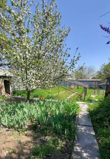 Продажа участков: 6 соток, Для строительства, Договор купли-продажи at lalafo.kg — 4 Продажа участков: 6 соток, Для строительства, Договор купли-продажи — 4