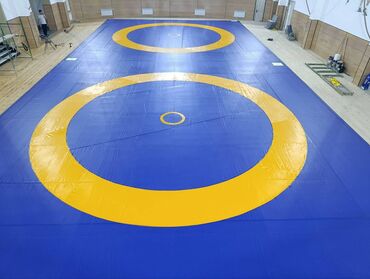 Другие тренажеры: Профессиональные спортивные маты для единоборств Назначение: - борьба — 26