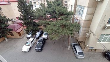 Yeni tikili: 2 otaqlı, Yeni tikili, m. Həzi Aslanov, 78 kv. m — 17