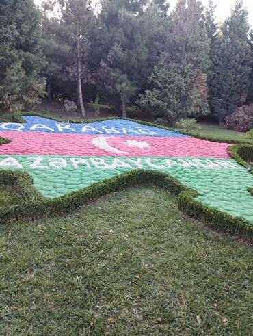 Xadimələr, təmizlikçilər: Kafe ve restoranda qab yuma işi axdarıram gence sevınc qesebesı de