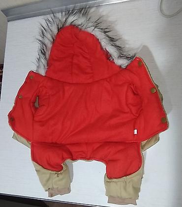 canada goose: Продаю комбинезон тёплый для маленьких собак.р-р L. Спинка26см.,обхват — 2