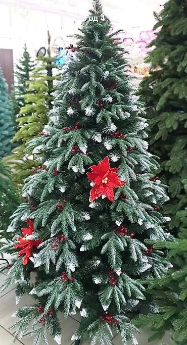 alstromerija sadnice: 10. Jelka snezna, tri vrste grana sa bobicama 120cm-5300din 150cm — 1