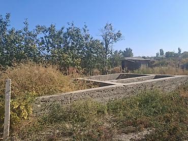 комнату с подселением аламедин 1: Продаётся жилой дом с большим приусадебным участком и хозпостройками — 2