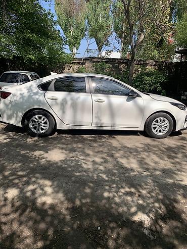 серато киа: Kia Cerato: 2019 г., 1.6 л, Автомат, Бензин, Седан — 8