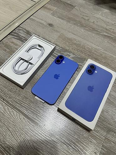 12pro max: IPhone 16 Plus, Б/у, 128 ГБ, Синий, Кабель, Коробка, 100 % — 1