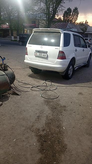 srv 3: Mercedes-Benz ML-Class AMG: 1998 г., 3.2 л, Автомат, Газ — 6