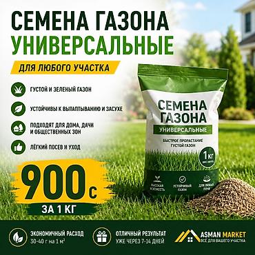 Семена газона «Универсальные» — для любого участка. Особенности -