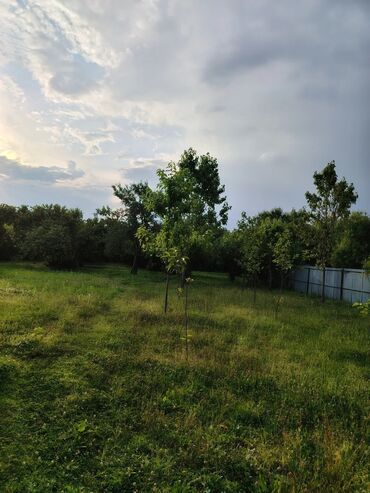 Bağ evlərinin satışı: Zaqatala, 110 kv. m, 4 otaqlı, Hovuzsuz, Artezian quyusu -da lalafo.az — 18 Bağ evlərinin satışı: Zaqatala, 110 kv. m, 4 otaqlı, Hovuzsuz, Artezian quyusu — 18