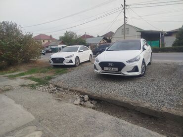 купить авто в лизинг без первоначального взноса: Hyundai Sonata: 2019 г., 2 л, Автомат, Газ, Седан