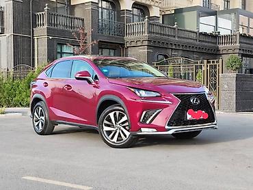 lexus cs: Lexus NX: 2018 г., 2 л, Автомат, Бензин, Кроссовер — 4
