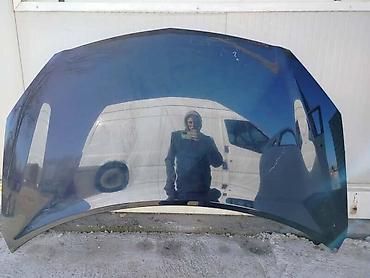 gitovanje branika: HAUBA ZA RENAULT KOLEOS OD 2007. DO 2016. GOD. | Hauba Renault — 1
