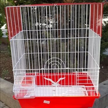 Dovşanlar: Dovşan yemləri Sadə və vitaminli topdan qiyməti Sadə yem 1.50azn — 11