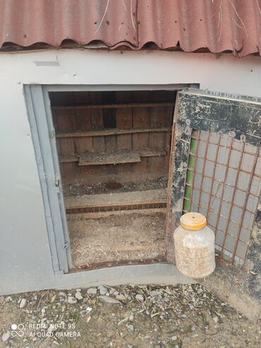 Yuvalar: Quşxana Satlır 30 cüt xana — 4