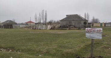 balaxanida torpaq: 10 sot, Tikinti, Mülkiyyətçi, Kupça (Çıxarış)