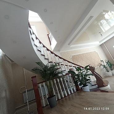 Другие услуги: Лесницы овальные — 3