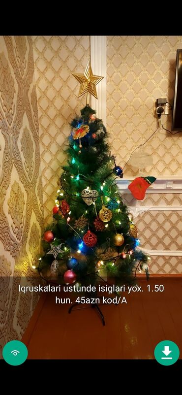 Yeni il ağacları: Yolkalar şaxda baba sekillerde qiymət məlumat qeyd olunub unvan Gence -da lalafo.az — 13 Yeni il ağacları: Yolkalar şaxda baba sekillerde qiymət məlumat qeyd olunub unvan Gence — 13