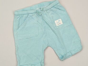 hawajskie spodenki: Shorts, So cute, 2-3 years, 98, condition - Good