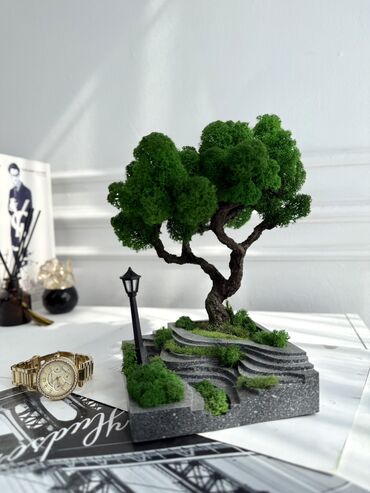 купить елку искусственную недорого: Бонсай ручной работы из натурального стабилизированного мха от 1500