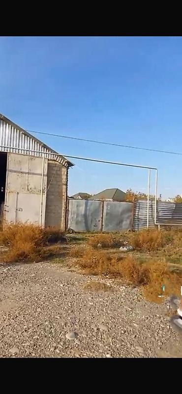 berde kiraye: Satılır 75000
Obyekt, Bərdə r — 2