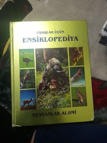 Ensiklopediyalar: Ensiklopediya İdeal vəziyyətdə içi təzə kimidi
