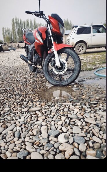 питбайк цена для 14 лет бишкек: Классический мотоцикл Honda, 150 куб. см, Бензин, Взрослый, Б/у