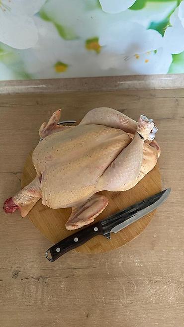 продам яйца: Домашняя курица-бройлер, тушка целая. Описание: - Курица белая — 3
