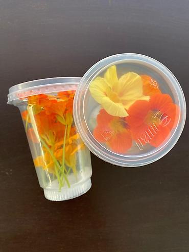 Микрозелень: Микрозелень и молодые травы в кассетах - Ассортимент: микрозелень — 35