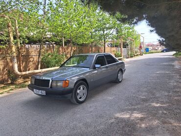 mersedes yeşqa: Mercedes-Benz 190: 2 l | 1991 il Sedan