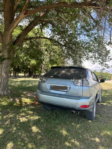 салон машина: Lexus RX: 2004 г., 3 л, Автомат, Бензин, Кроссовер