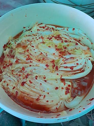 Смородина: Смородина — 27