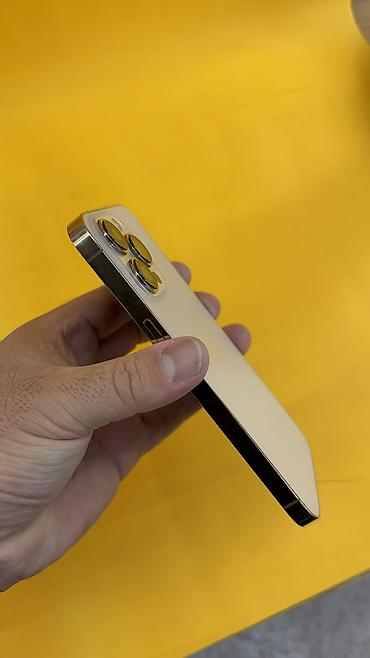 Apple iPhone: IPhone 13 Pro, 256 ГБ, 79 % — 13