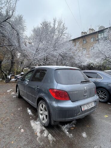 пежо 607: Peugeot 307: 2007 г., 1.6 л, Механика, Бензин, Хэтчбэк