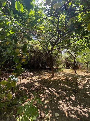 Продажа квартир: 3 комнаты, 76 м², 2 этаж — 23